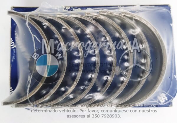 casquete e21